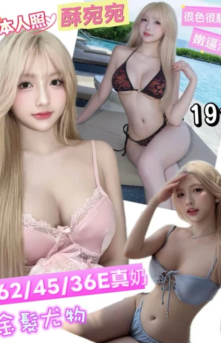 台南定點茶-酥宛宛/162/45/19/E