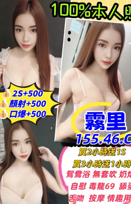 新竹定點茶-霧里/155/46/25/C