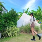 台北定點茶-一六八/168/50/23/D