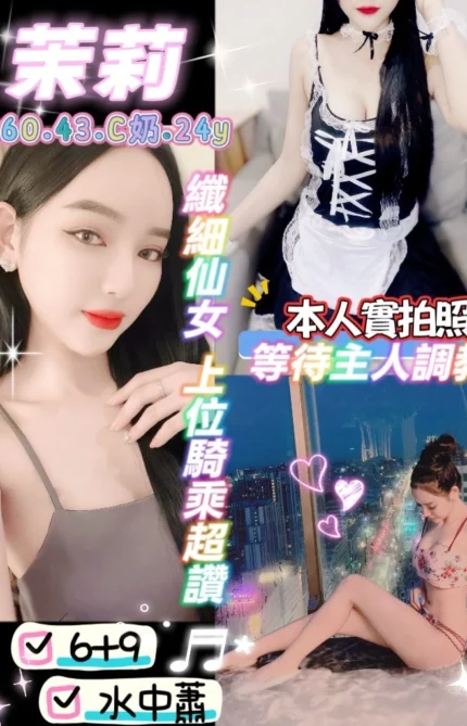 新北定點茶-茉莉/160/43/24/C