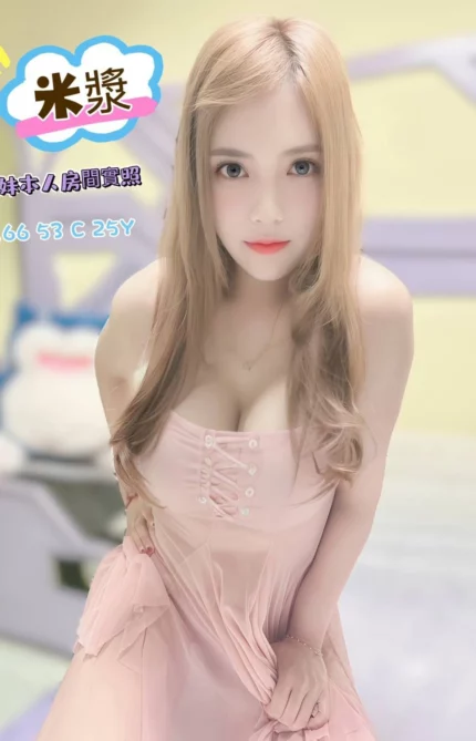 嘉義定點茶-米漿/166/53/25/C