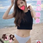 台中外送茶-乖兒/150/43/?/B