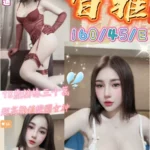 台中定點茶-智雅/160/45/18/E