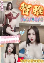 台中定點茶-智雅/160/45/18/E