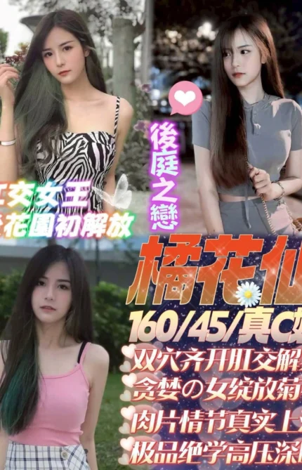 桃園定點茶-橘花仙/160/45/23/C