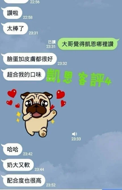 台南定點茶-凱恩/155/45/23/E