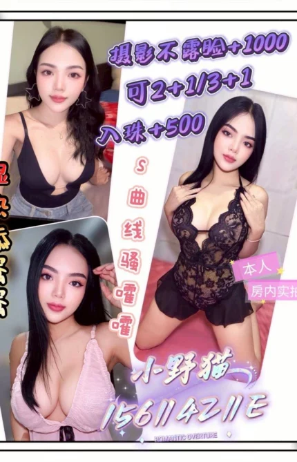 桃園定點茶-小野猫/156/42/?/E