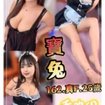 新北定點茶-寶兔/162/60/25/F