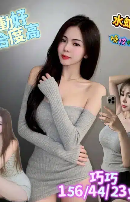 台南定點茶-巧巧/156/44/23/C