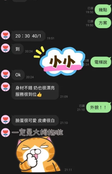 桃園定點茶-小小/155/42/20/D