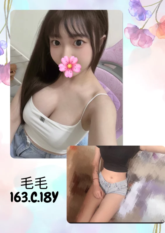 台北外送茶-毛毛/163/?/18/C