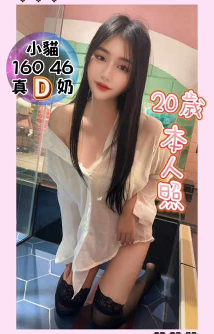 台中定點茶-小貓/160/46/20/D