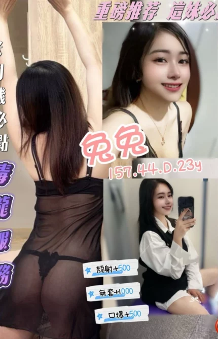 桃園定點茶-兔兔/157/44/23/D