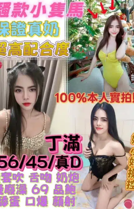 台中定點茶-丁滿/156/45/22/D