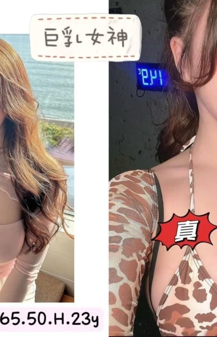 台北外送茶-一月/165/50/23/H