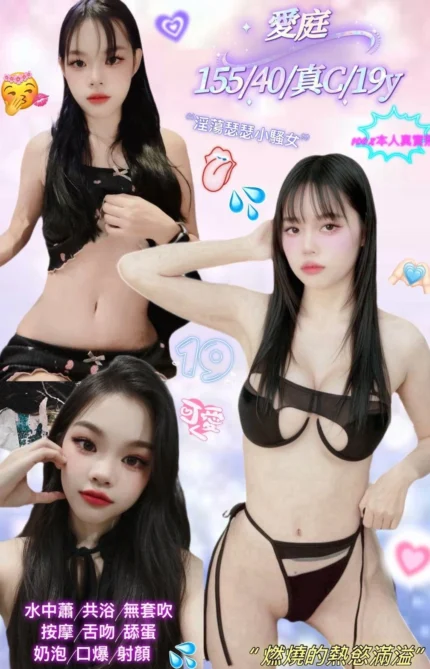 新北定點茶-愛庭/155/40/19/C