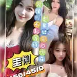 桃園定點茶-圭悧/156/45/?/D