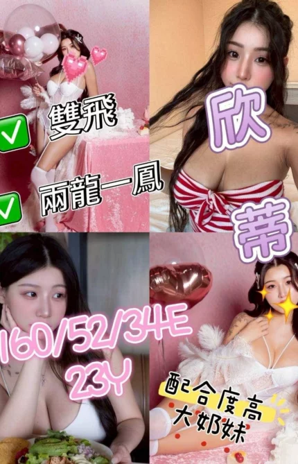 嘉義定點茶-欣蒂/160/52/23/E