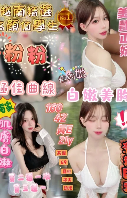 新竹定點茶-粉粉/160/42/21/E