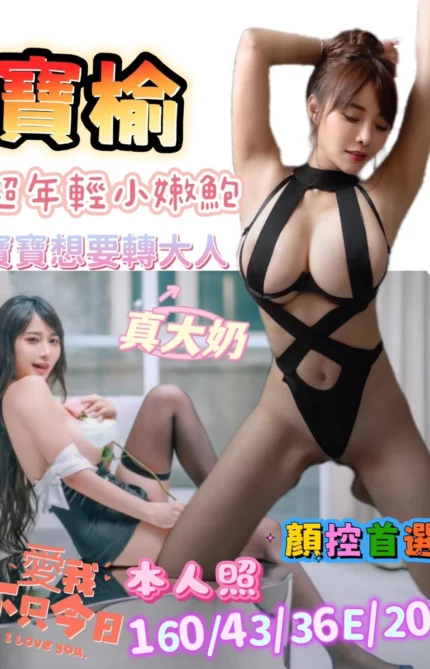 台南定點茶-寶榆/160/43/20/E