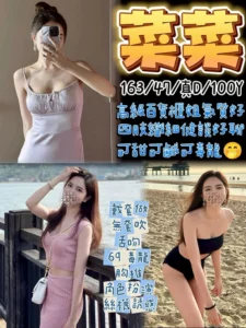 桃園定點茶-菜菜/163/47/?/D