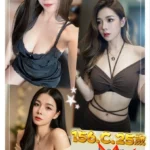 新北定點茶-伊洛/156/44/25/C