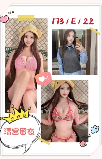 台北外送茶-清宮留衣/173/?/22/E