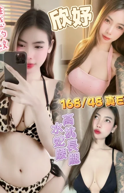 台北定點茶-欣妤/168/48/20/E