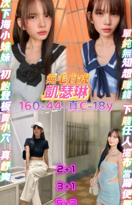 桃園定點茶-凱瑟琳/160/44/18/C