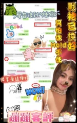 新竹定點茶-蹦蹦/165/51/?/D