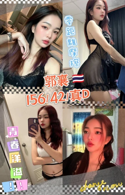 桃園定點茶-郭襄/156/42/20/D