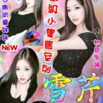 台中定點茶-雪芹/148/36/19/C