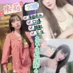 彰化定點茶-米莉/152/40/20/D