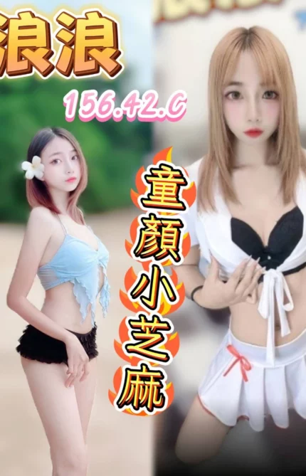 台中定點茶-浪浪/156/42/?/C