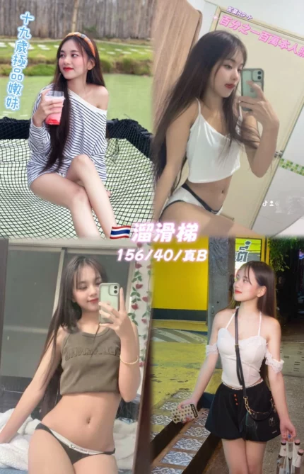 桃園定點茶-溜滑梯/156/40/19/B