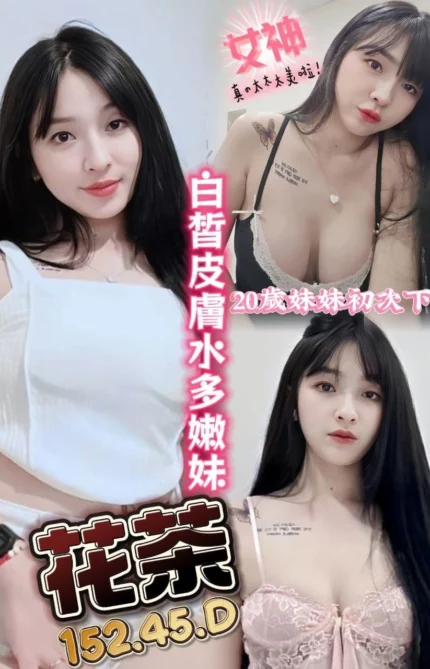 台中定點茶-花茶/152/45/?/D