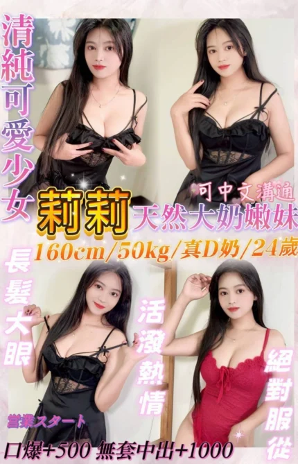 新北定點茶-莉莉/160/50/24/D