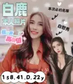 台南定點茶-白鹿/158/41/22/D