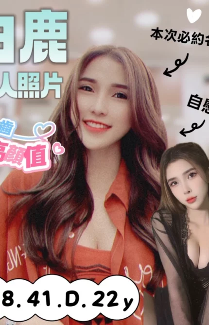 台南定點茶-白鹿/158/41/22/D