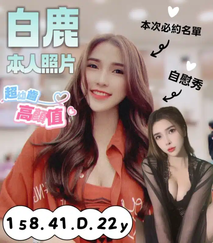 台南定點茶-白鹿/158/41/22/D