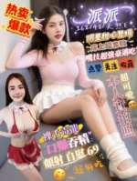 屏東定點茶-派派/162/48/21/E