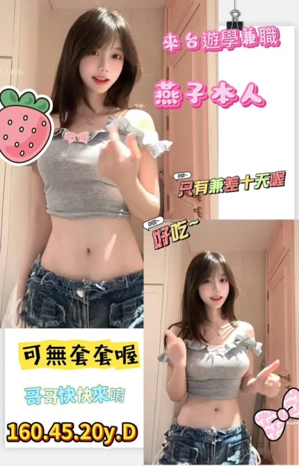 台南定點茶-燕子/160/45/20/D