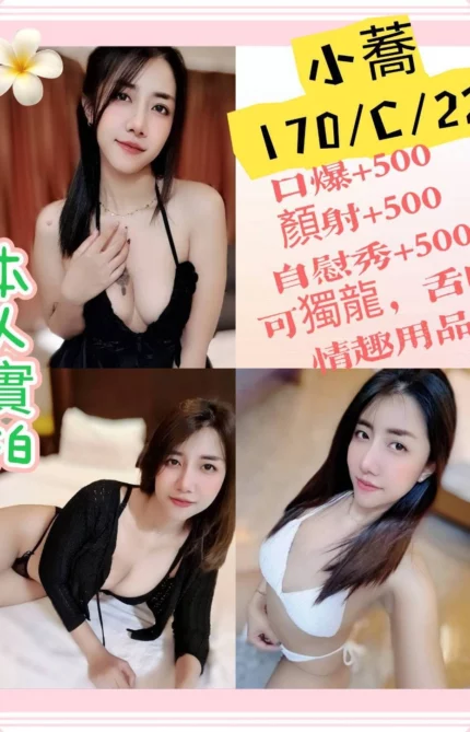 新北定點茶-小蕎/170/52/22/C