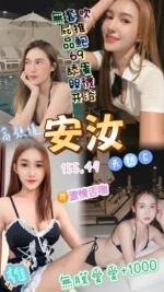 桃園定點茶-安汝/155/49/23/C