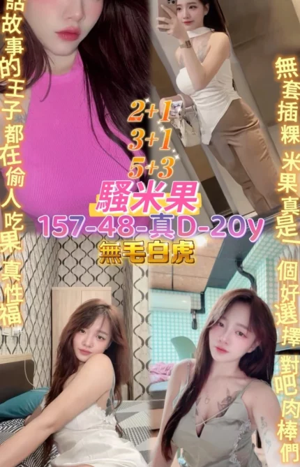 桃園定點茶-騷米果/157/48/20/D