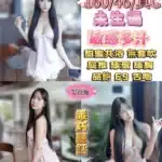 台北定點茶-彩虹/160/46/22/C