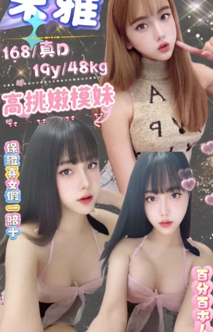 台北定點茶-朱雅/168/48/19/D