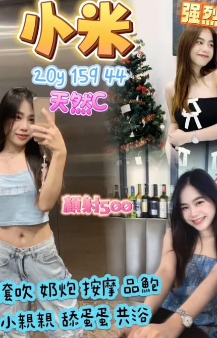 桃園定點茶-小米/159/44/20/C