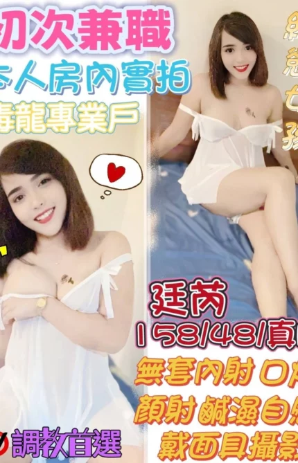 台中定點茶-廷芮/158/48/22/D