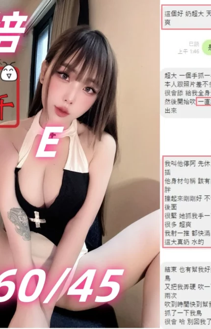 台中定點茶-欣培/160/45/18/E